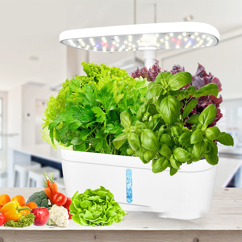 Potager d’Intérieur Intelligent – Cultivez vos herbes sans vous salir les mains !