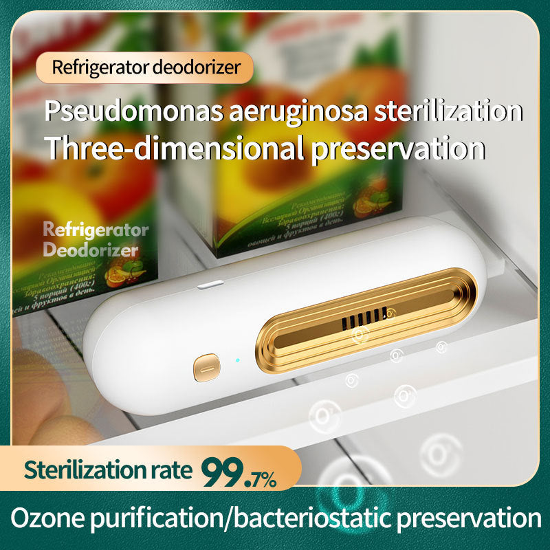 Purificateur d’Air Ozone – Réfrigérateur & Maison Toujours Frais