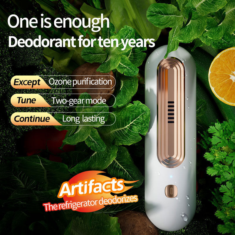 Purificateur d’Air Ozone – Réfrigérateur & Maison Toujours Frais