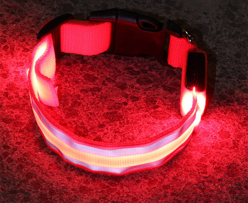 Collier LED Chien Sécurité Nocturne – Rechargeable ou à Piles – Plusieurs Taille