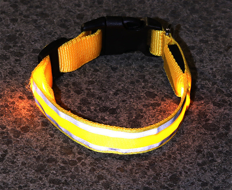 Collier LED Chien Sécurité Nocturne – Rechargeable ou à Piles – Plusieurs Taille