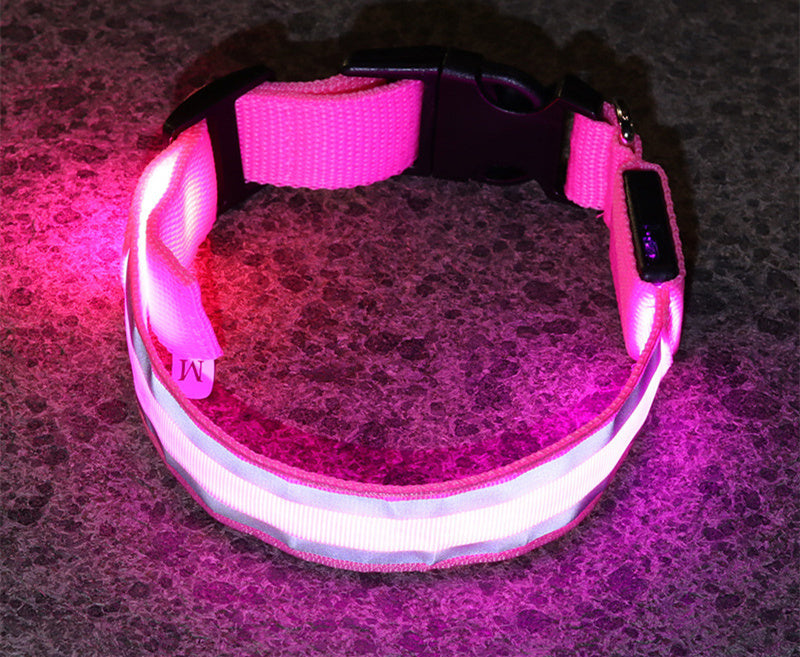 Collier LED Chien Sécurité Nocturne – Rechargeable ou à Piles – Plusieurs Taille
