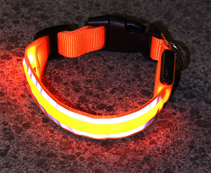 Collier LED Chien Sécurité Nocturne – Rechargeable ou à Piles – Plusieurs Taille