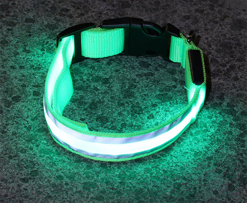 Collier LED Chien Sécurité Nocturne – Rechargeable ou à Piles – Plusieurs Taille