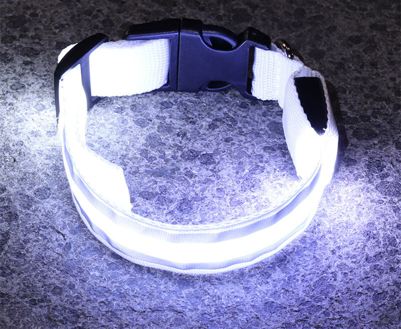 Collier LED Chien Sécurité Nocturne – Rechargeable ou à Piles – Plusieurs Taille