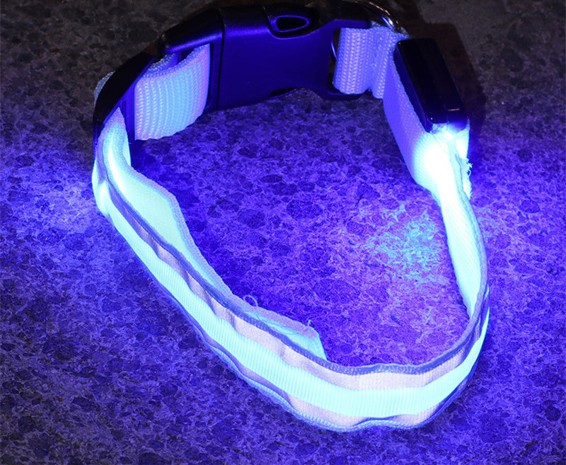 Collier LED Chien Sécurité Nocturne – Rechargeable ou à Piles – Plusieurs Taille