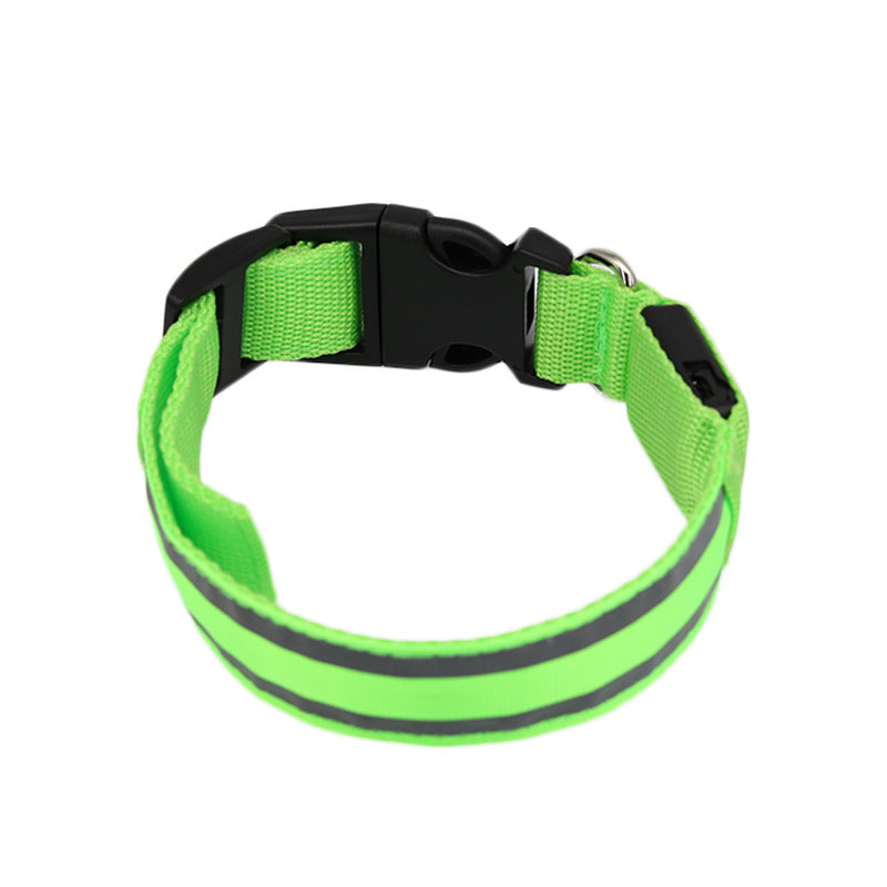 Collier LED Chien Sécurité Nocturne – Rechargeable ou à Piles – Plusieurs Taille