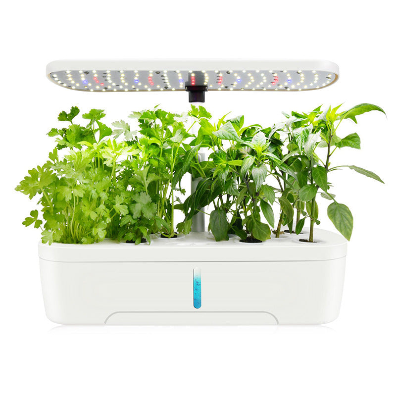 Potager d’Intérieur Intelligent – Cultivez vos herbes sans vous salir les mains !