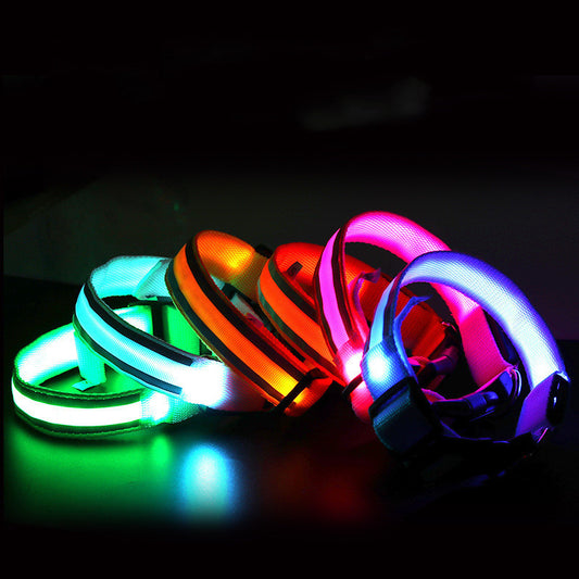 Collier LED Chien Sécurité Nocturne – Rechargeable ou à Piles – Plusieurs Taille